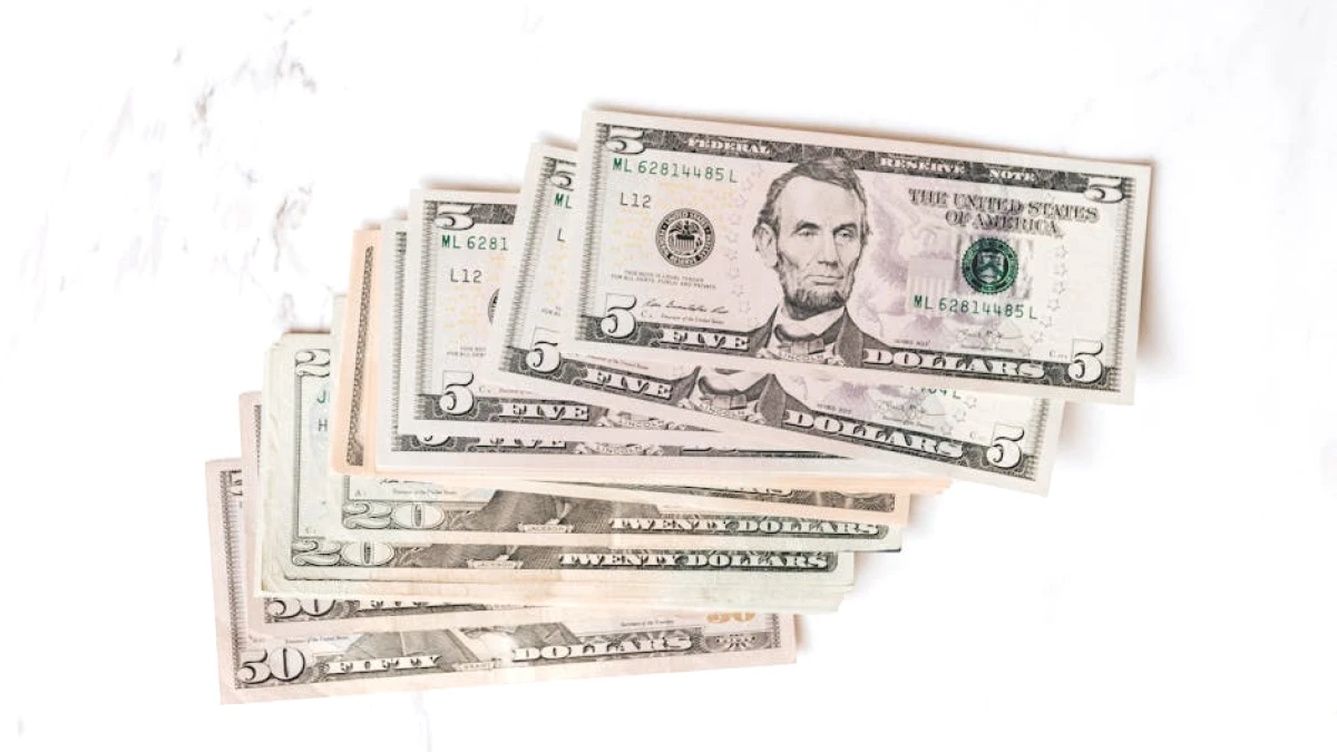 cash-envelope-system-tips - Image 2