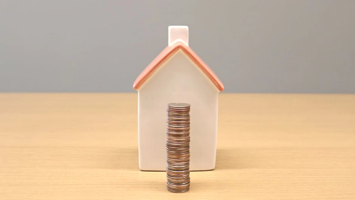 compound-interest-calculator - Image 6