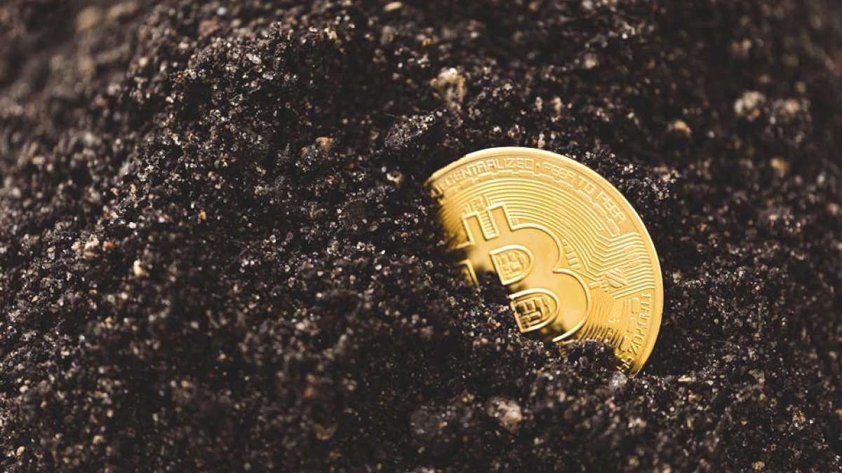 crypto-investing-safely - Image 2