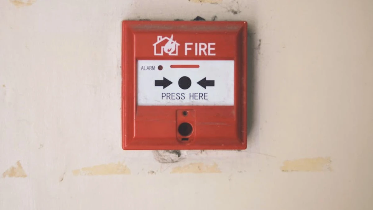 emergency-fund-how-much-to-save - Image 2