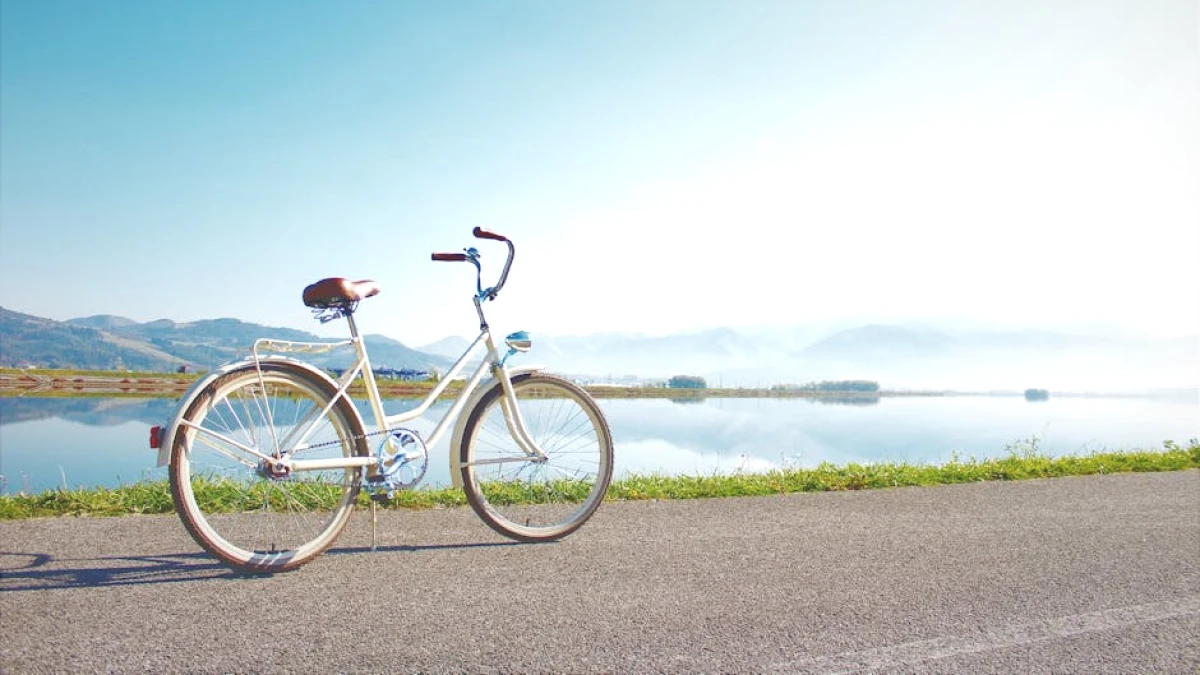Escape the Debt Cycle: Proven Strategies to Achieve Financial Freedom