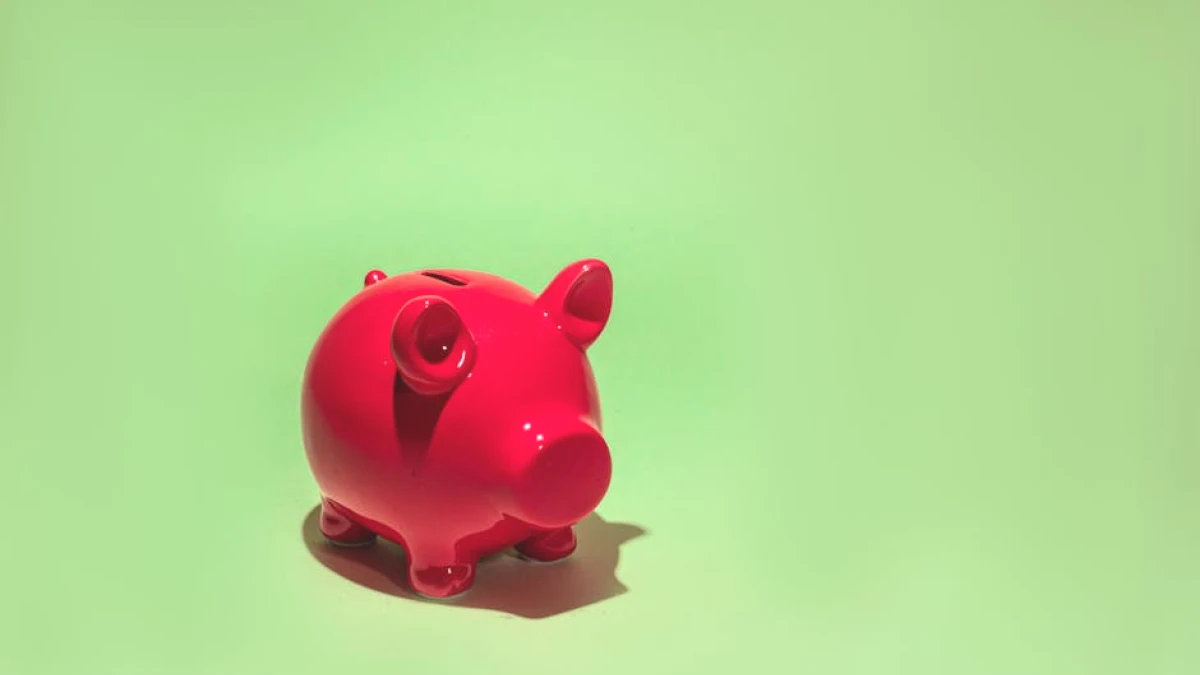 health-savings-account-benefits - Image 5