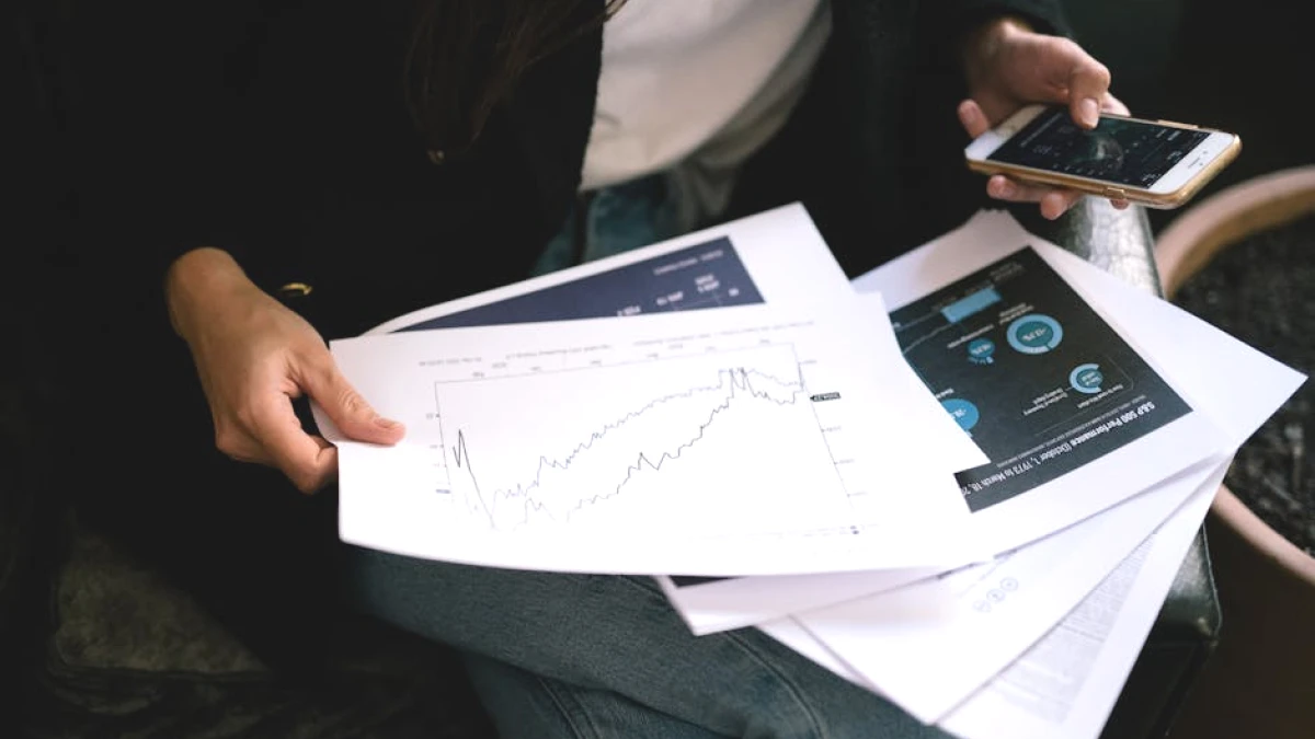 portfolio-diversification-tips - Image 2