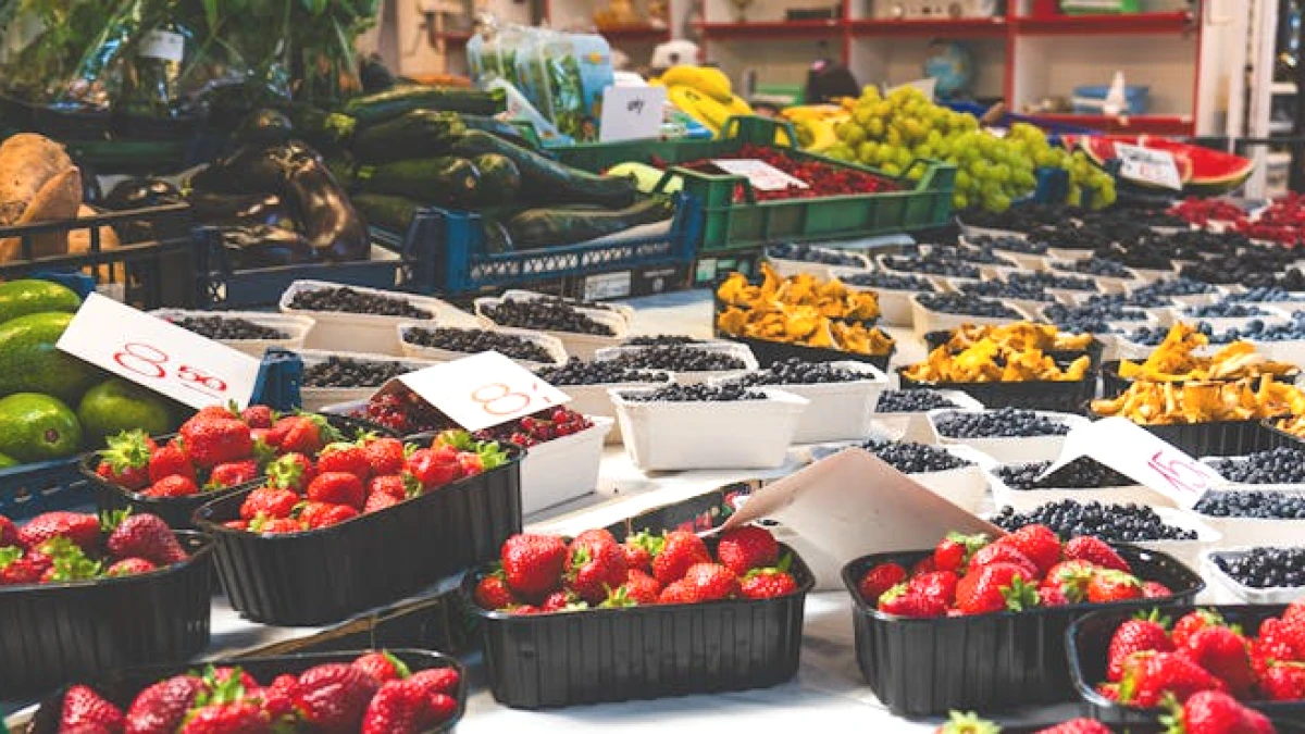reduce-food-costs-this-month - Image 2
